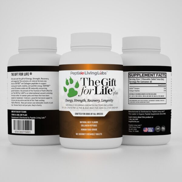 The Gift For Life Canine