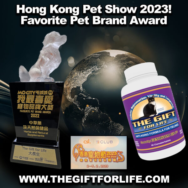 The Gift For Life Feline - Image 4